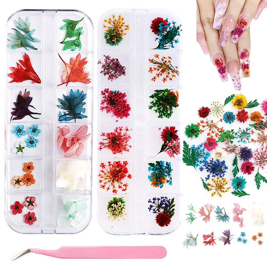 Dried Flowers Nail Art, 2 Boxes Nail Dried Flowers 24 Colors Mini Real Natural Flowers with Tweezers 3D Applique Nail Decoration Sticker for Tips Manicure Decor - BeesActive Australia