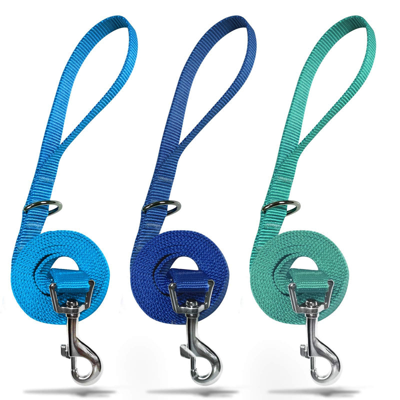 azuza 3 Pack Nylon Dog Leashes,Strong & Durable Basic Leash 4/5/6 FT with Easy to Use Collar Hook,Available in Multiple Length S: 5/8"x 6 FT (Pack of 3) 1#Blue - BeesActive Australia
