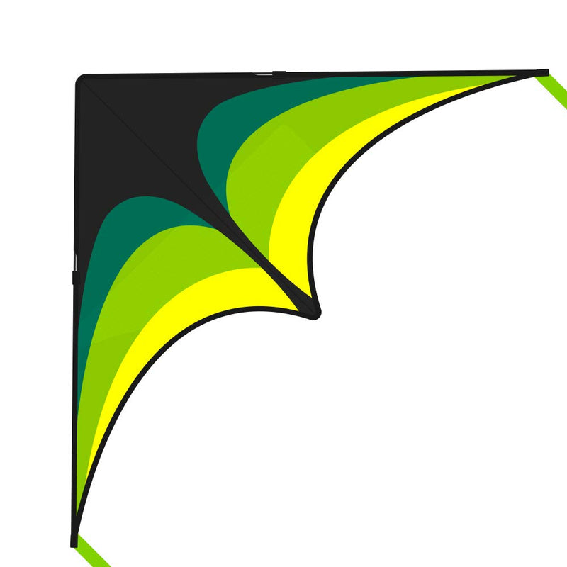 Mint's Colorful Life Delta Kite for Kids & Adults, Extremely Easy to Fly Kite, Best Kite for Beginner Black Green - BeesActive Australia