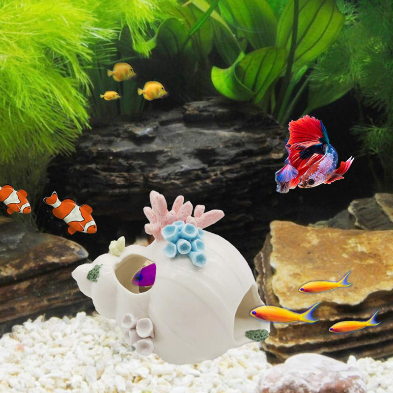 Starryfill Aquarium Decorations White Ceramic Conch Thematic Ornament with Three Holes for Betta Fish Passing or Hiding Safely,Betta Fish Tank for Small and Medium Fish - BeesActive Australia