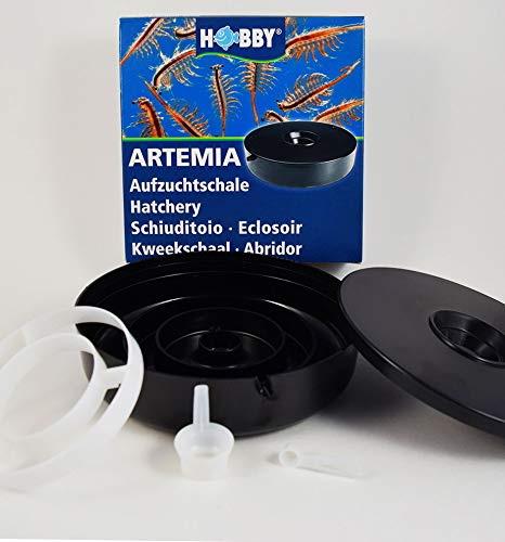 Brine Shrimp Hatchery Dish (Eggs Sold Separately.) - BeesActive Australia