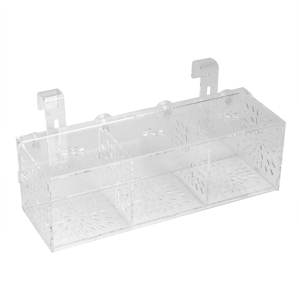 GLOGLOW Aquarium Breeder Box, 3 Sizes Acrylic Transparent Aquarium Breeding Isolation Box Fish Tank Hatchery Incubator Holder 30CM*10CM*10CM - BeesActive Australia