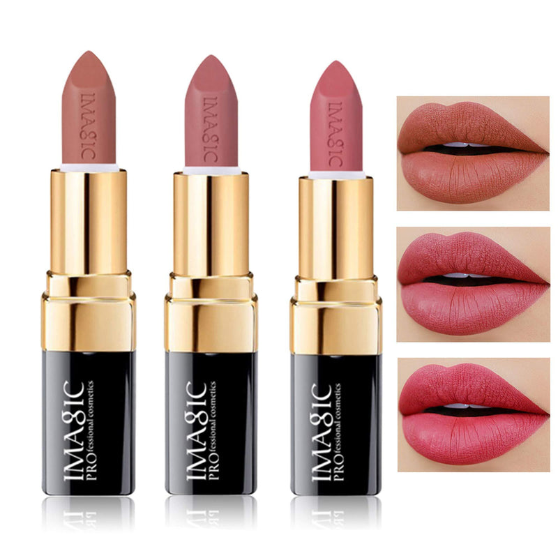 FANICEA Matte Lipstick Set Red Brown Pink Long-Lasting Non-Stick High Pigmented Moisturizing Natural Soft Glossy Vivid Creamy Lipstick Kit Lip Cosmetics Makeup Gift for Women Girls(3 Colors) - BeesActive Australia