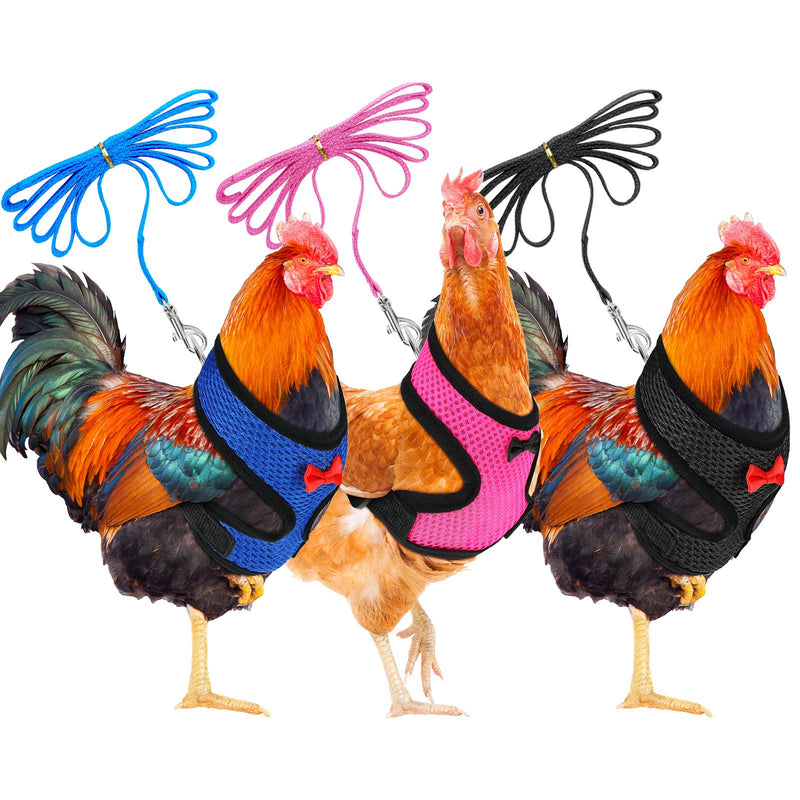3 Pieces Adjustable Chicken Harness with Leash and Matching Belt, Comfortable Hen Pet Vest Breathable Chicken Training Harness for Chicken, Duck or Goose Blue, Pink, Black S - BeesActive Australia