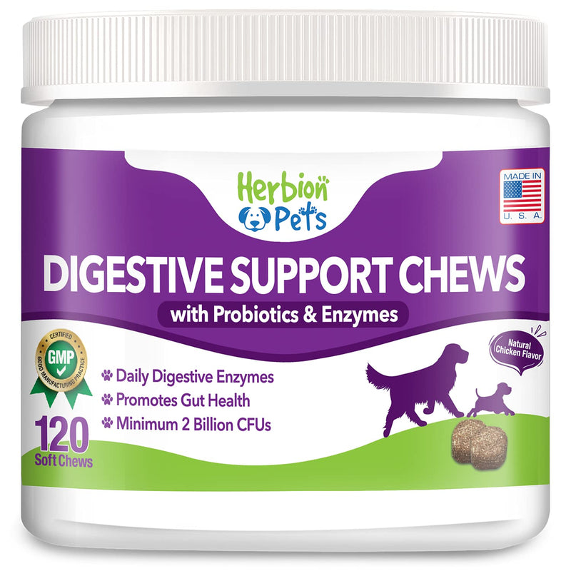 Herbion Pets Digestive Support Chews with Probiotics and Enzymes, 120 Soft Chews - with Daily Digestive Enzymes - for Improved Gut Health - Minimum 2 Billion CFUs - Made in USA - for Dogs 12 Weeks+ - BeesActive Australia