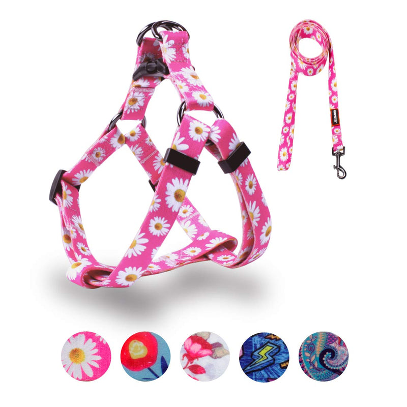 QQPETS Dog Harness Leash Set Adjustable Heavy Duty No Pull Halter Harnesses for Small Medium Large Breed Dogs Back Clip Anti-Twist Perfect for Walking XS(12"-18" Chest Girth) Daisy - BeesActive Australia