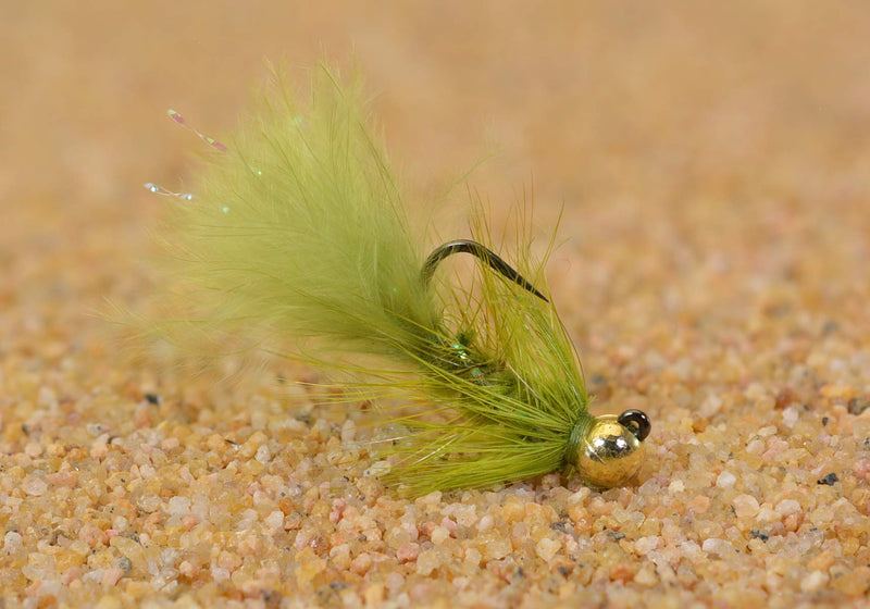 Region Fishing 6 Ct - Tungsten Micro Olive Wooly Bugger Jig Head Fly - Euro Nymph - Hanak Hook Hook #10 - BeesActive Australia