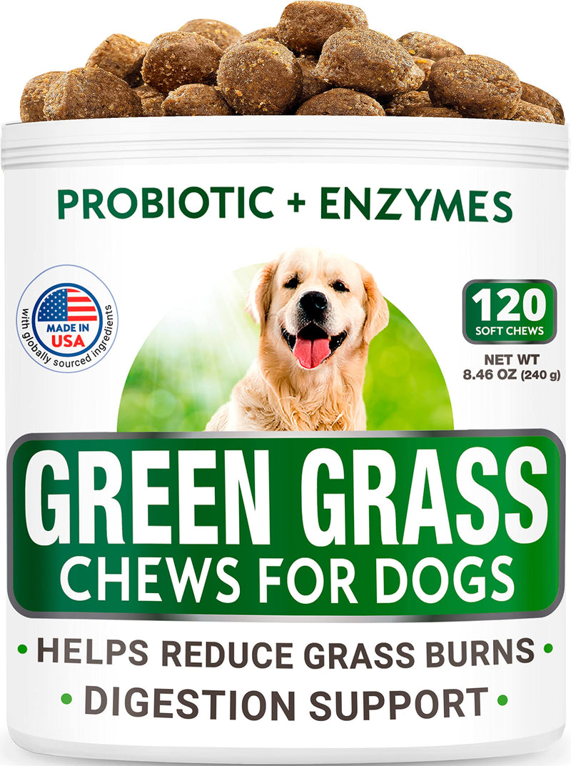 All-Natural Grass Treatment for Dog Urine - Grass Restore Treats for Dogs - Pee Lawn Repair Chews w Probiotics - Dog Urine Neutralizer Solution for Grass Burn Spots - Made in USA - 120 Chews - BeesActive Australia
