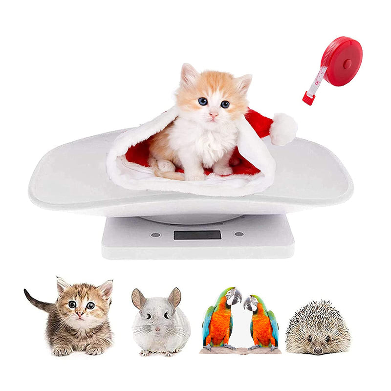 Digital Pet Scale, Small Animal Scale with Tape Measure, Multifunction Kitchen Food Scale, Weighing Max 22lbs, Size 12"x8" Inch, LCD Electronic Weight Scale for Kitten/Puppy/Hamster/Little Bird(White) - BeesActive Australia
