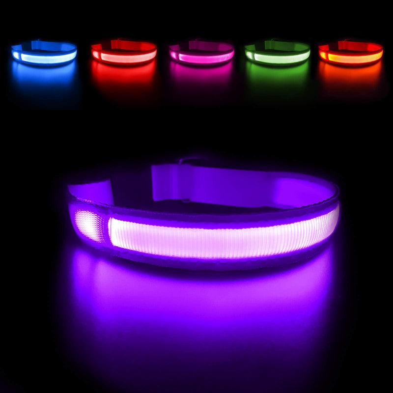 MASBRILL Light Up Dog Collar, LED Glow Collar with USB Rechargeable Lighted Bright Purple Dog Flashing Collar Waterproof, 4 Colors with 3 Sizes for Small Medium Large Dogs M(0.98*19.69") - BeesActive Australia