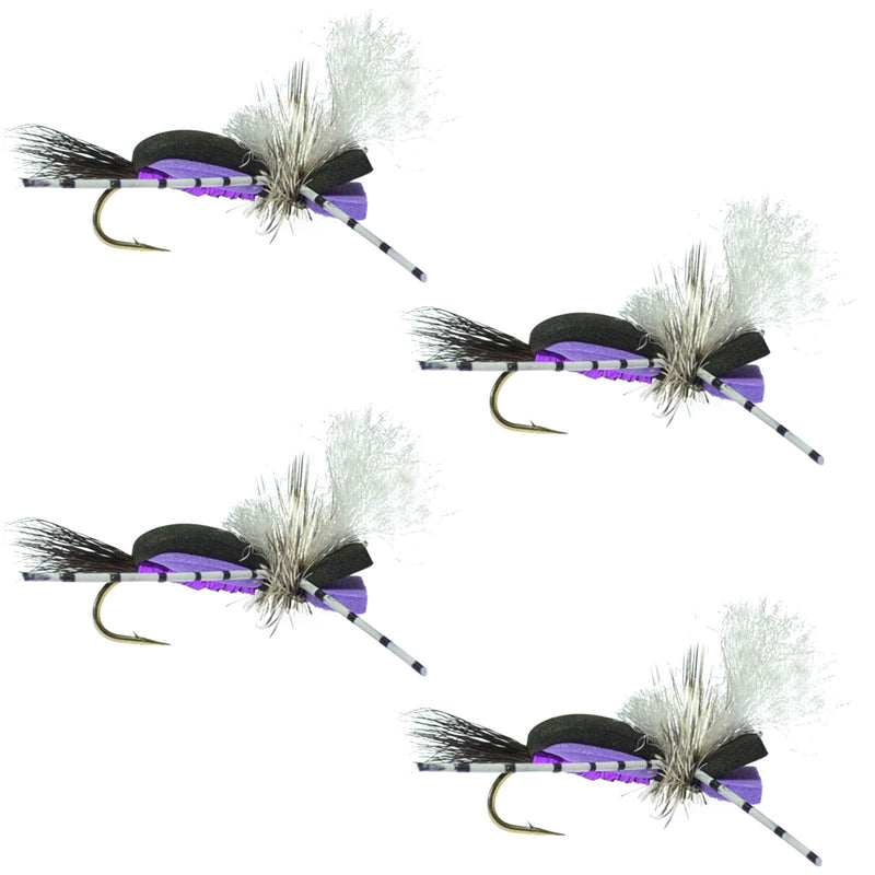 The Fly Fishing Place Hippie Stomper Black Purple Foam Body Trout Bass Dry Fly Fishing Flies - Set of 4 Hook Size 10 - BeesActive Australia