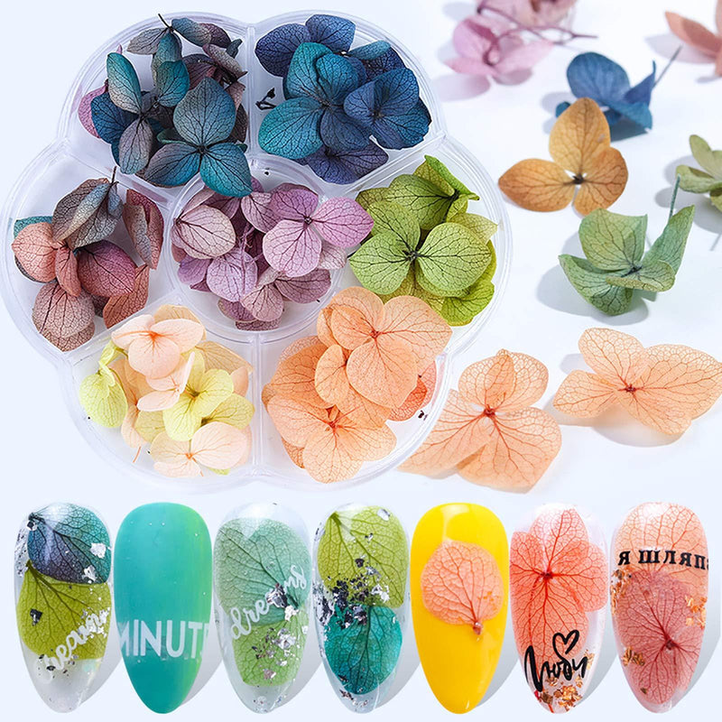 3D Dried Flowers Nail Stickers 45 Pcs Colorful Natural Real Dry Flower Nail Decals Nail Supplies DIY Craft Manicure Decorations - BeesActive Australia