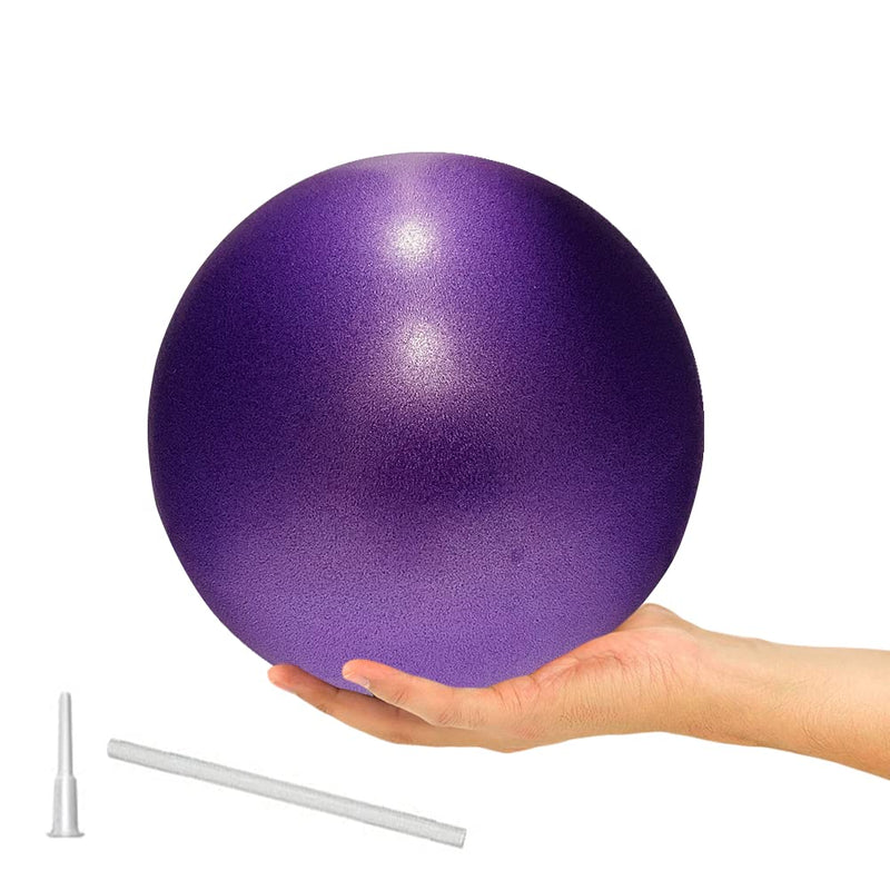 9 Inch Exercise Pilates Ball Mini Exercise Barre Ball for Yoga,Stability Exercise Training Gym Anti Burst and Slip Resistant Balls Physical Therapy Improves Balance, Core Strength, Back Pain Posture Purple - BeesActive Australia