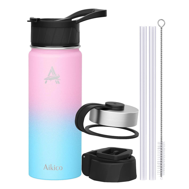 Stainless Steel Water Bottle with Straw Lid, 18oz Vacuum Insulated Sports Water Bottle, Wide Mouth Thermos Mug with Wide Handle Straw Lid and Cleaning Brush, Fantasy - BeesActive Australia