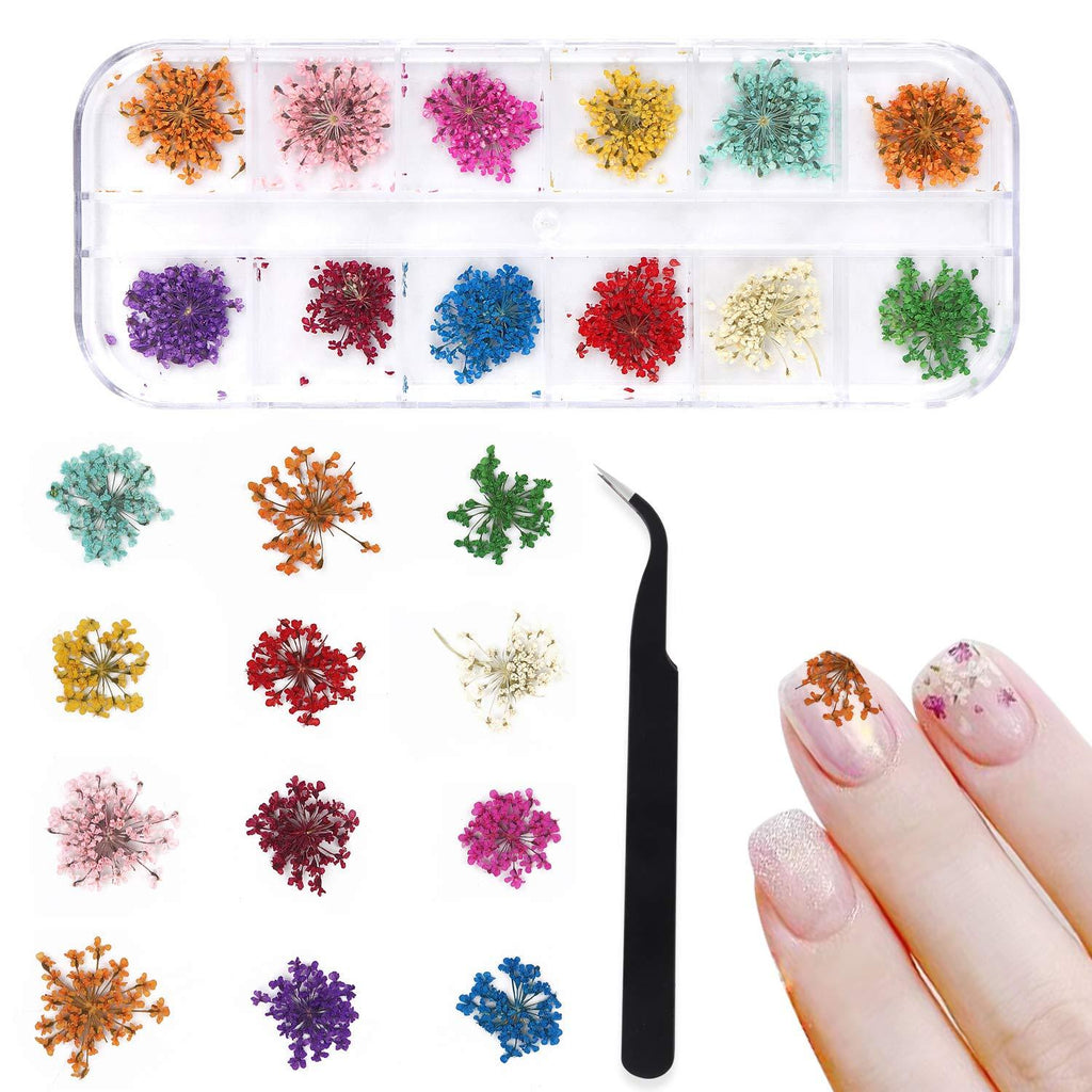 Dried flowers for Nails, 12 Colors 3D Small Dry Flowers for Resin Nail Art,Flowers Stickers Colorful Natural Real Flower Nail Decals Supplies with 1pcs tweezer - BeesActive Australia