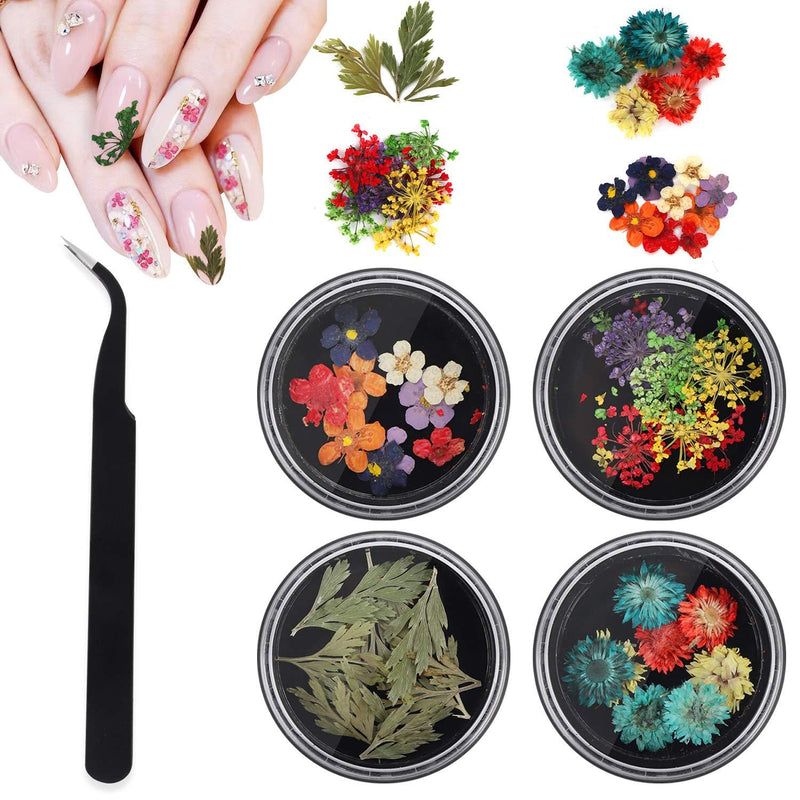 3D Dried Flowers for Nail Art, 4 Boxes Natural Real Dry Resin Flower Nail Stickers, Nail Design for Acrylic Nails, DIY Nail Art Tool with 1pcs tweezer - BeesActive Australia