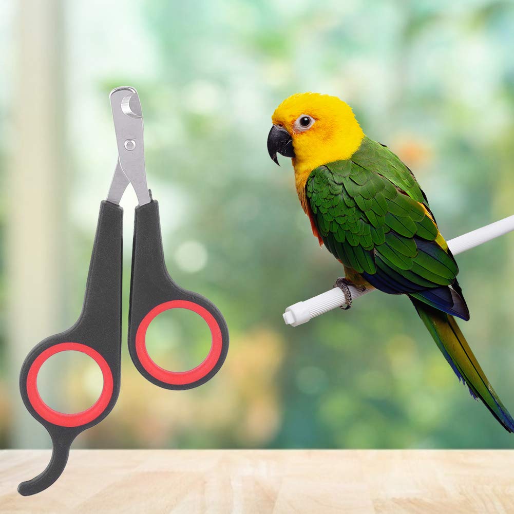 Parrot Wing Clippers, Solid Stainless Steel Bird Nail Clipper, Bird Nail Clipper 4.6X2.4X0.2In Animal Rope Thick For Soft Paddle For Tools - BeesActive Australia