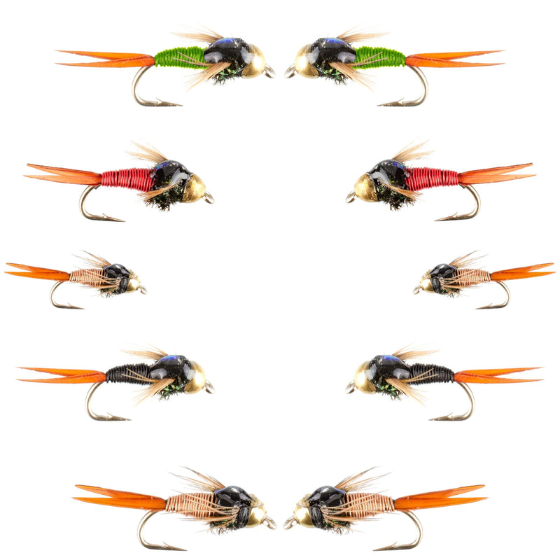 The Fly Fishing Place Basics Collection - Bead Head Copper John Assortment - 10 Wet Flies - 5 Patterns - Hook Sizes 14, 16, 18 - BeesActive Australia