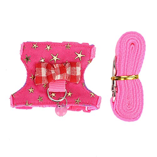 with Soft Texture Outdoor Chest Strap Ferret Leash Pet Harness Ferret Pet Supplies S number - BeesActive Australia