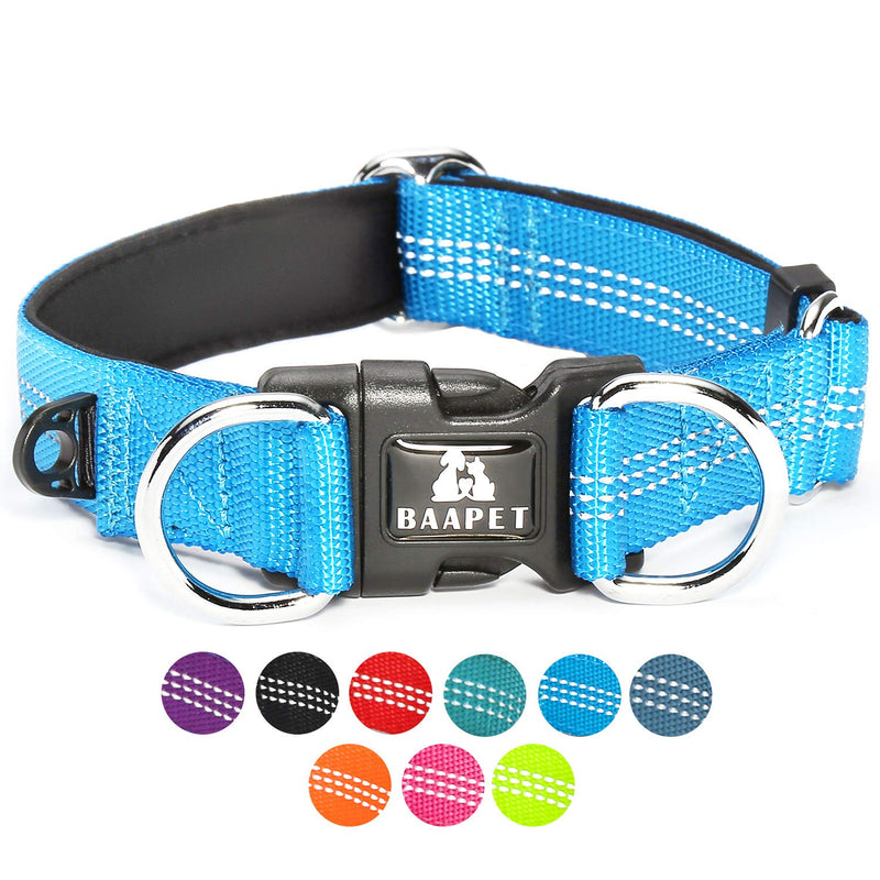 BAAPET Comfortable Dog Collar with Double Security Dual D-Ring and ID Tag Hanger for Small Puppy, Medium and Large Dogs M - 1.0" x (14"-20") Blue - BeesActive Australia