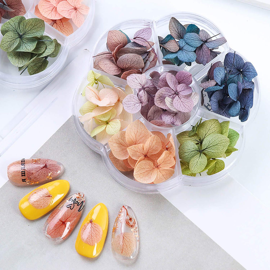 Dried Flowers Nail Art Supplies - 3D Nail Art for Acrylic Nails Dry Flowers for Resin Nails Decorations Accessories Mini Flowers Small Tiny Natural Real Flower Decor Manicure Design Kit - 45 PCS - BeesActive Australia
