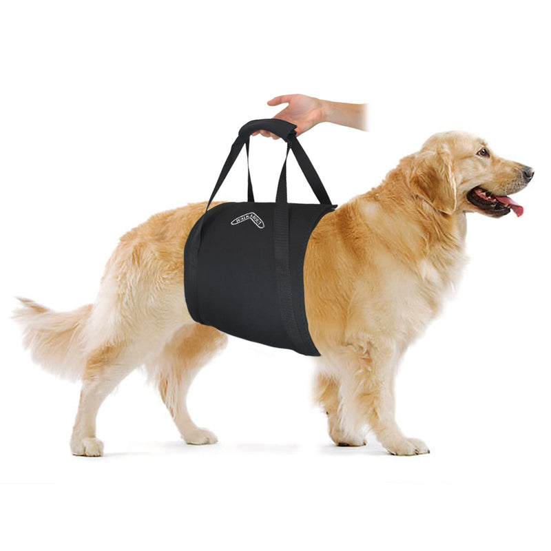 Walkabelly Support Sling, Easy-to-Use Belly Harness for Daily Mobility, Stop Straining to Lift Your Pet, Quick-Lift Original Design by Walkabout Harnesses Small Walkabelly - BeesActive Australia