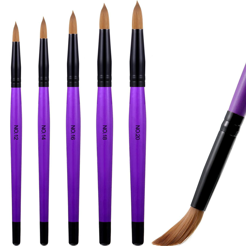 5 Pieces Acrylic Nail Brush with Round Wood Handle 3D Painting Drawing Brush UV Gel Carving Pen Brush for Acrylic Liquid Styling Nail Art Decoration (12-20, Purple) 12-20 - BeesActive Australia