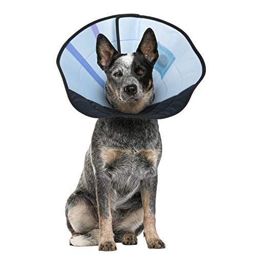 Calm Paws Dog Caring Collar W/Calming XS Medium - BeesActive Australia