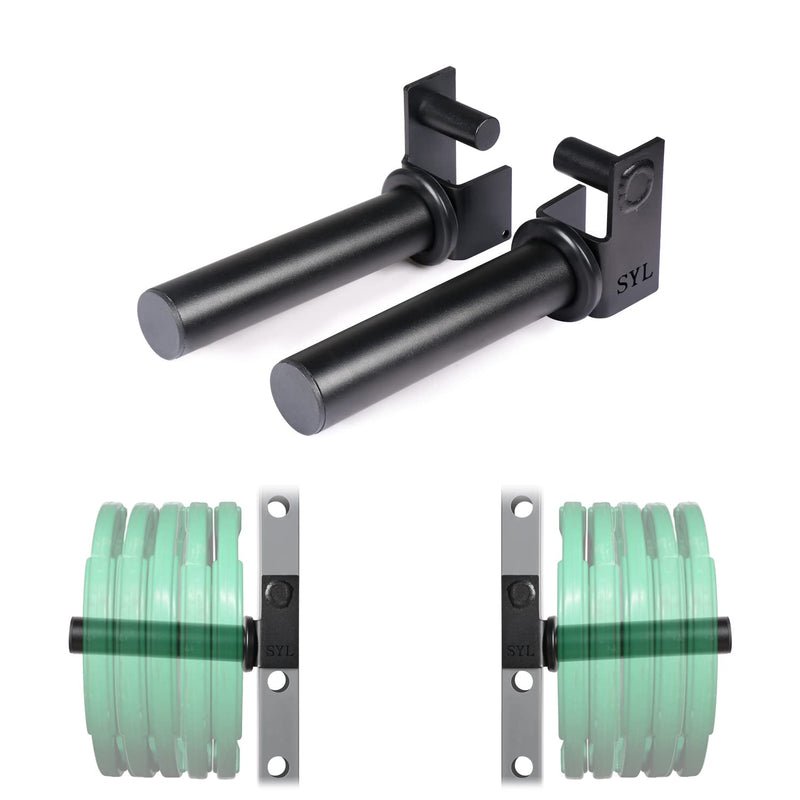 SYL Fitness Olympic Weight Plates Holder Power Rack Attachment Weights Storage Rack, Fit 2x2 inch & 3x3 inch Tube - BeesActive Australia