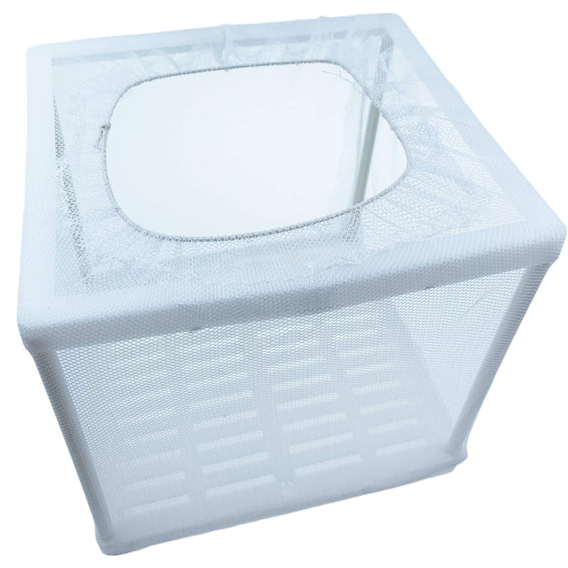 Aquarium Fish Breeder Box for Isolate Fry Small - BeesActive Australia