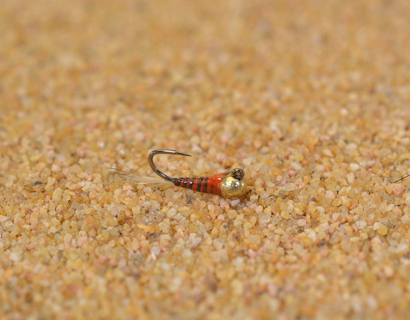 Region Fishing Tungsten Quill Perdigon Jig Head Fly - Euro Nymph Tied on Hanak Hook - 6ct Packs Assortment - BeesActive Australia
