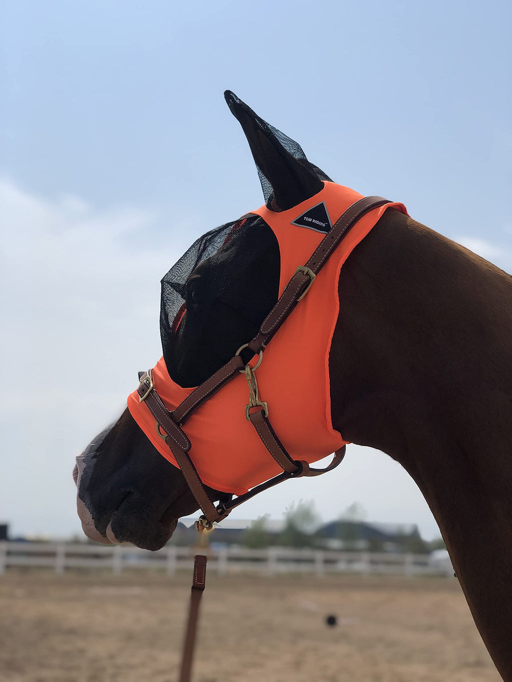 TGW RIDING Super Comfort Horse Fly Mask Elasticity Fly Mask with Ears We only Make Products That Horses Like Orange Medium - BeesActive Australia