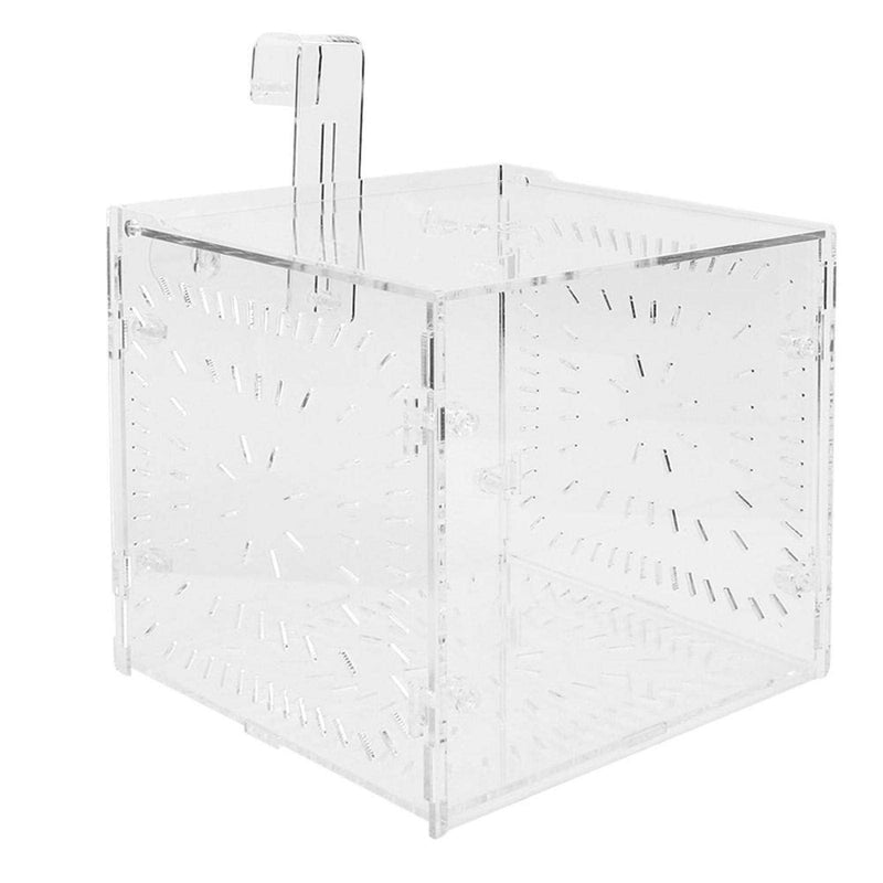 Fish Isolation Breeding Box Acrylic Incubator Floating Aquarium Hatchery Breeding and Parenting Box for Fish Tank Aquarium(15CM*15CM*15CM) 15CM*15CM*15CM - BeesActive Australia