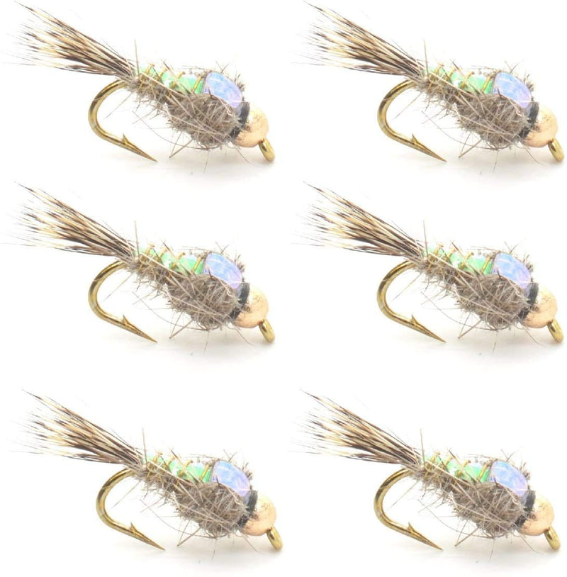 The Fly Fishing Place Bead Head Nymph Fly Fishing Flies - Flashback Gold Ribbed Hare's Ear Trout Fly - Nymph Wet Fly - 6 Flies Hook Size 10 - BeesActive Australia