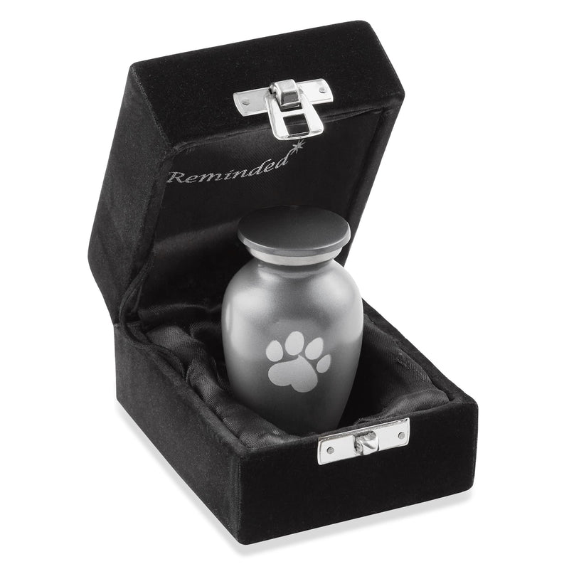 Reminded Pet Cremation Urns for Dog and Cat Ashes, Memorial Paw Print Urn X-Small Gray - BeesActive Australia