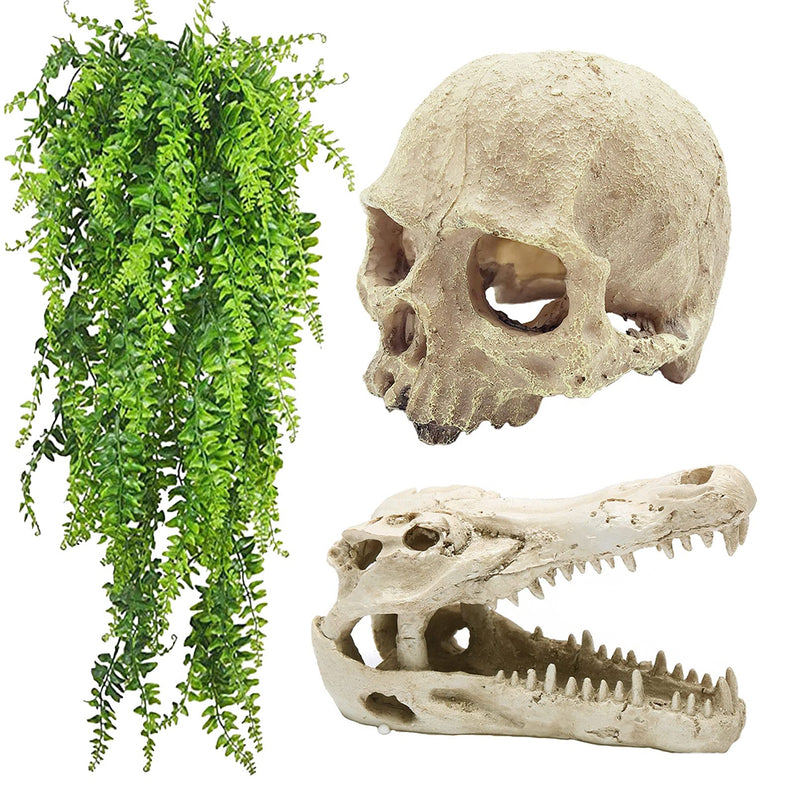 Tfwadmx Bearded Dragon Tank Accessories Reptiles Crocodile Skull Decorations Resin Human Skulls Hideouts Cave Habitat Lizard Plants Hanging Fake Vines Decor for Chameleon,Snake,Spider,Gecko and Fish - BeesActive Australia
