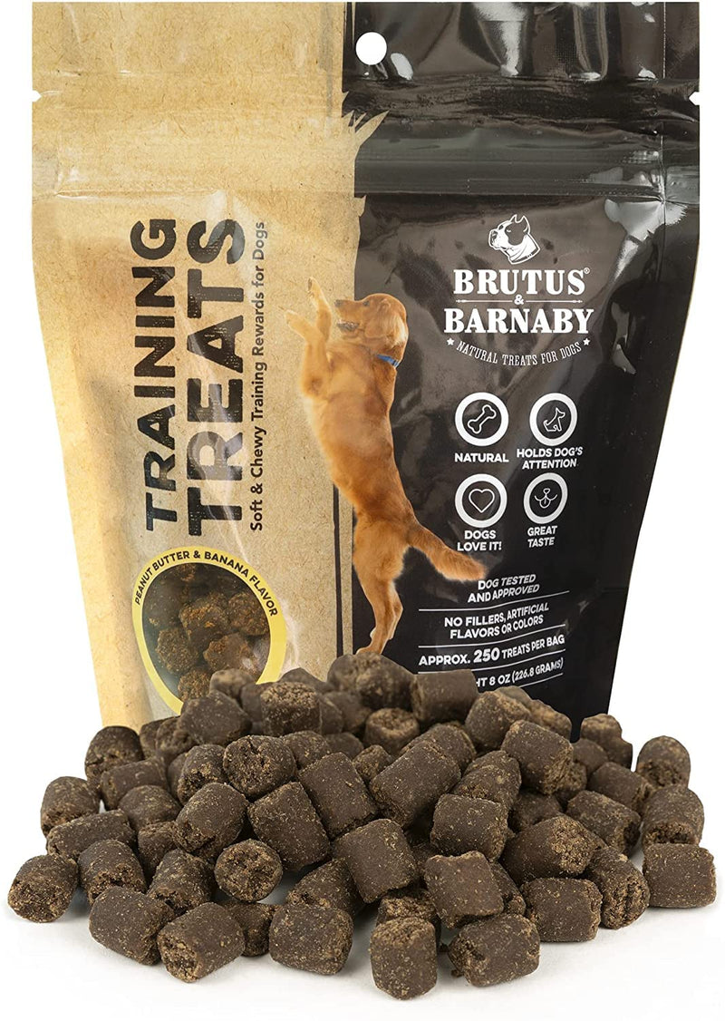 BRUTUS & BARNABY Training Treats for Dogs - Peanut Butter & Banana - All-Natural Healthy Low Calorie Vegan Treat - Great to Use for Rewards in Training Your Puppy Or Dog 1 Pound (Pack of 1) - BeesActive Australia