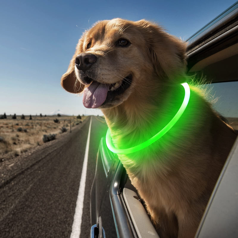 Vizbrite LED Dog Collar, USB Rechargeable Light Up Dog Collars, Glow Safety Basic Dog Collars for Night Walking, Waterproof Collar for Small Medium Large Dogs GREEN - BeesActive Australia