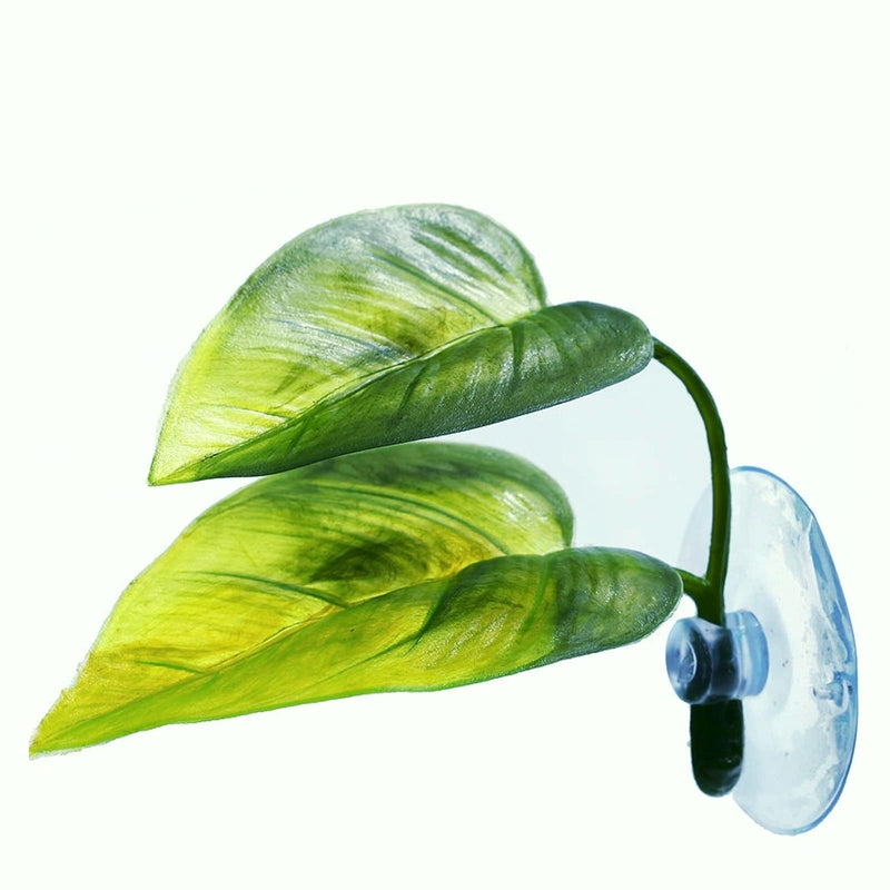 Betta Fish Leaf Pad Simulating The Natural Habitat for Betta Spawning Grounds Breeding Resting Bed Plastic Suction Cup (1 Pcs) - BeesActive Australia