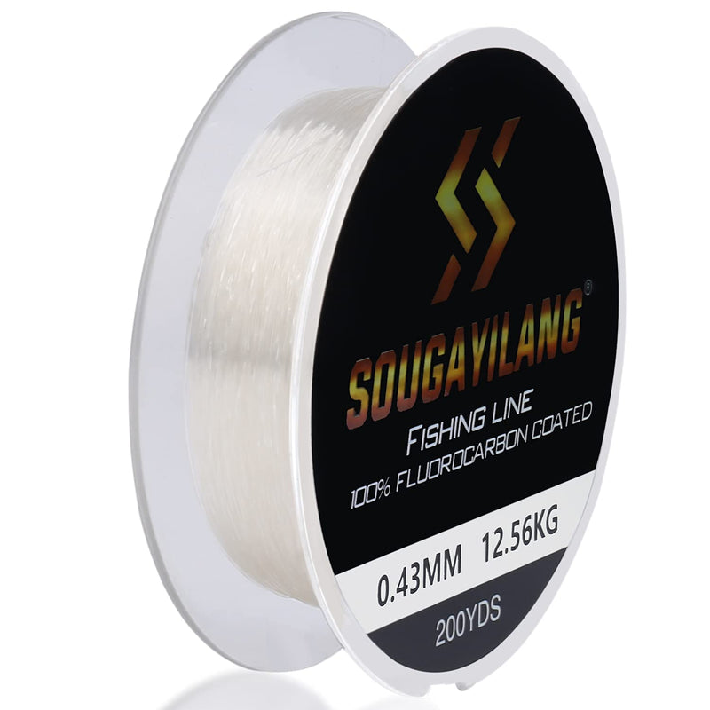 Sougayilang Fluorocarbon Powerful Fishing Line,100% Pure Fluorocarbon Coated，Abrasion Resistance，Virtually Invisible in Water Upgrade Fluorocarbon Coated Fishing Line 200yds 0.23mm/10LB - BeesActive Australia