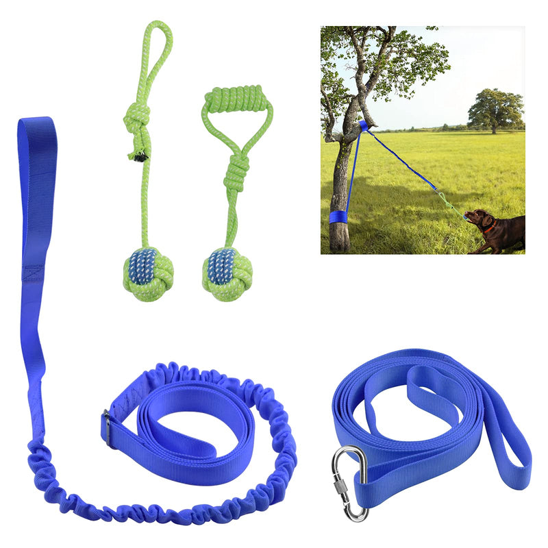 Outdoor Hanging Bungee Dog Toy - Interactive Dog Tug Toy with Dog Rope Toys for Small to Large Dogs - Best for Tug of War, Bite Training, Pull Exercise, Solo Play Green Chew Rope - BeesActive Australia