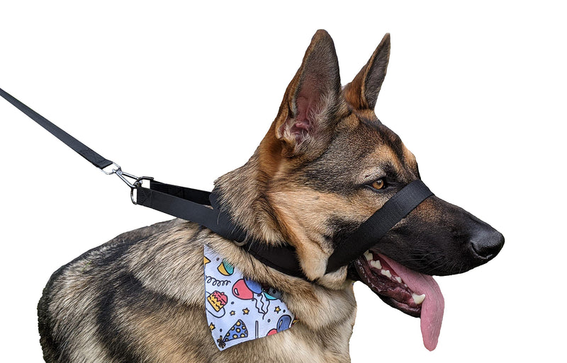 Pets ProMax – Dog Headcollar, No-Pull Dog Collar, Dog Walking/Training Dog Collar | Head Halter Collar for Dogs | Training Collar for Dogs to Stop Pulling While Walking. L (Large) - BeesActive Australia
