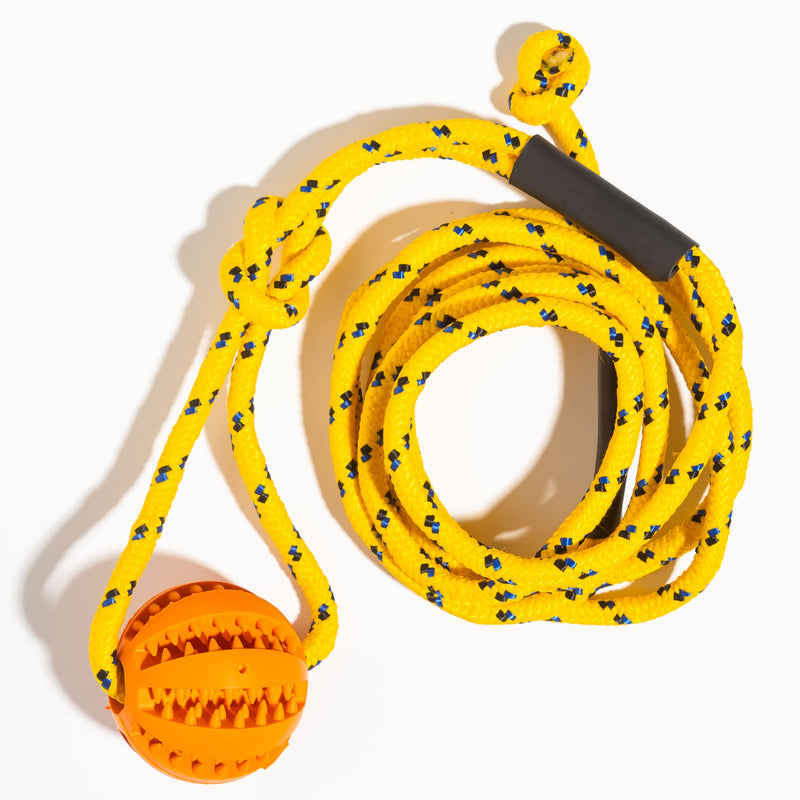 Runball Outdoor Rope and Ball Dog Toy for Dog Training, Exercise, Agility, Chase, Pull, and Tug of War, 10 ft Rope, 2.75 Inches Durable Rubber Orange Ball, for Medium and Large Dogs - BeesActive Australia