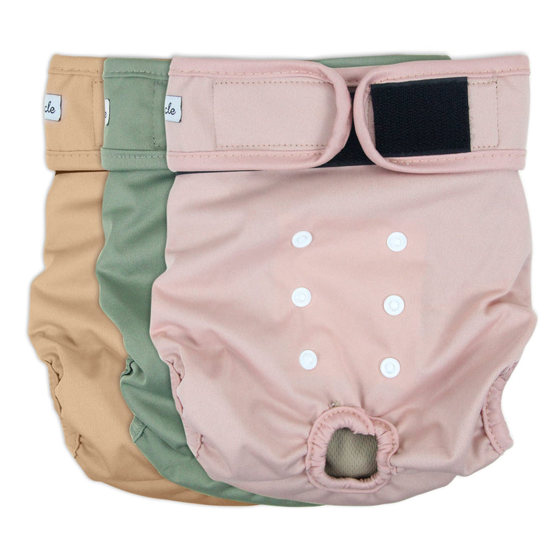 Grecle Washable Female Dog Diapers - Premium Reusable Diapers for Doggie in Heat - Highly Absorbent Dog Diapers Female for Pet Incontinence with Adjustable Snaps Medium (12”-15“Waist） Morandi - BeesActive Australia