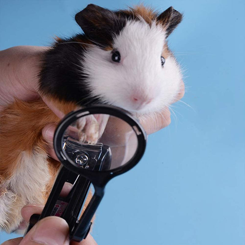 HAICHEN TEC Guinea Pig Nail Clippers with Magnifying Glass Stainless Steel Claw Toenail Trimmer for Small Animal Hedgehog Rabbit Hamster Ferret Hamsters Chinchilla Sugar Glider Pet Grooming Supplies Black - BeesActive Australia