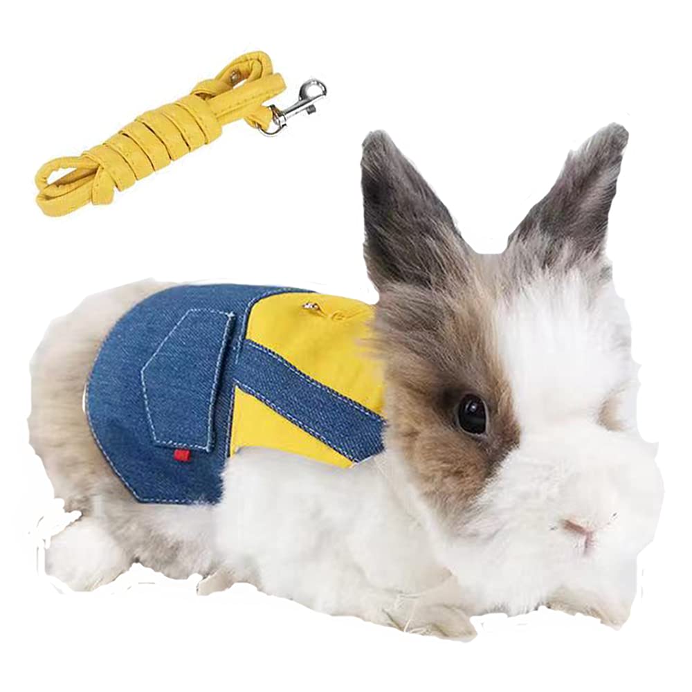 Anelekor Small Pet Clothes Rabbit Harness and Leash Set Ferret Sweatshirt Bunny Dress Kitten Sweater Small Animals Outfits for Chihuahua Kitty Mini Dog and Small Breeds A Medium - BeesActive Australia