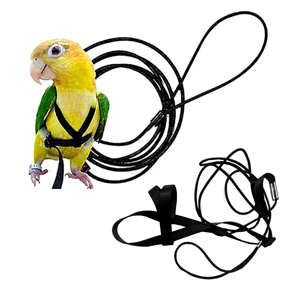 Anelekor Adjustable Birds Harness and Leash Parrot Harness Leash Training Supplies Pet Anti-bite Outdoor Flying Rope for Conures Budgerigar Lovebird Cockatiel Mynah Small Black - BeesActive Australia