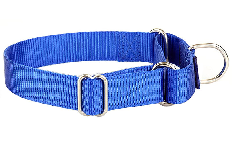 Alainzeo Martingale Dog Collar, Heavyduty Nylon Dog Collar Large Blue - BeesActive Australia
