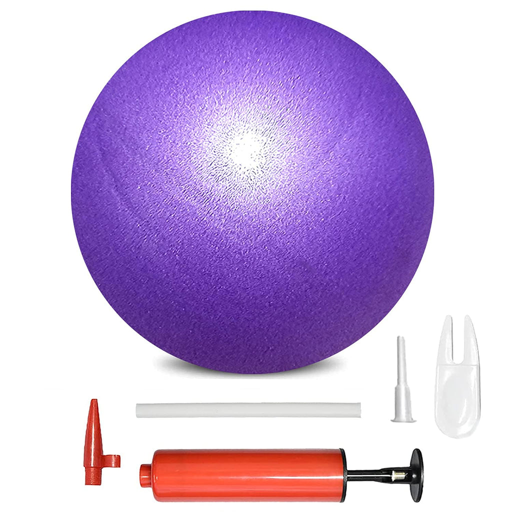 XIECCX Mini Yoga Balls Exercise Pilates Ball Therapy Ball Balance Ball Bender Ball Barre Equipment 1PC for Home Stability Squishy Training PhysicalCore Training with Pump A-purple 6 Inch - BeesActive Australia