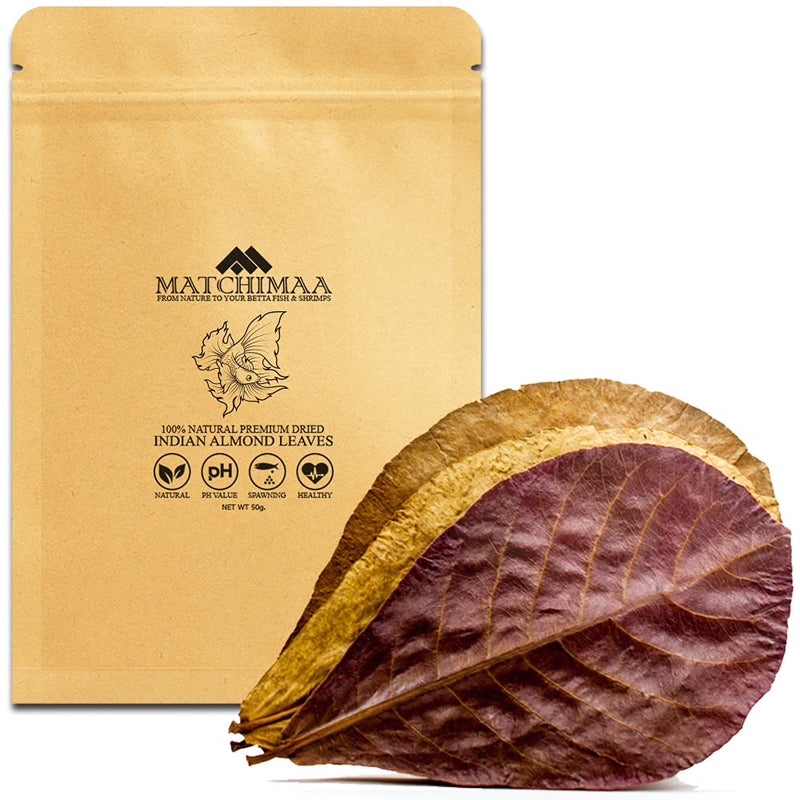 Premium Indian Almond Leave. Aquarium Decorations Size 6-9" Pack 50g(20-25 Leaves). Catappa Leaves Rich in Tannin. Superb to be Health Better, Vitality, Succesful Breeding! of Shrimp & Betta Fish Tank - BeesActive Australia